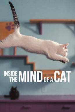 Inside the Mind of a Cat คิดแบบแมวๆ (2022)